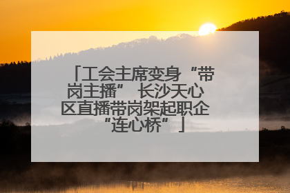 工会主席变身“带岗主播” 长沙天心区直播带岗架起职企“连心桥”