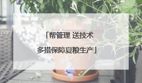 帮管理 送技术 多措保障夏粮生产