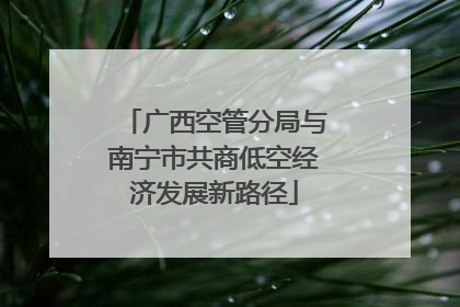 广西空管分局与南宁市共商低空经济发展新路径