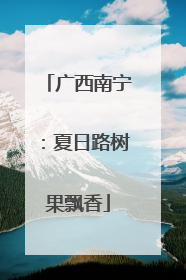 广西南宁：夏日路树果飘香