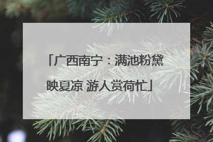广西南宁：满池粉黛映夏凉 游人赏荷忙