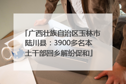 广西壮族自治区玉林市陆川县：3900多名本土干部回乡解纷促和