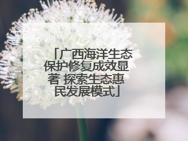 广西海洋生态保护修复成效显著 探索生态惠民发展模式