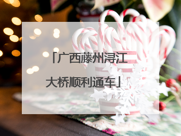 广西藤州浔江大桥顺利通车