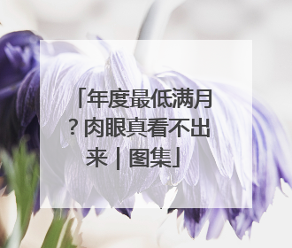 年度最低满月？肉眼真看不出来｜图集