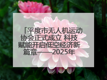 平度市无人机运动协会正式成立 科技赋能开启低空经济新篇章——2025年首届会员大会暨无人机应用发展论坛成功举办