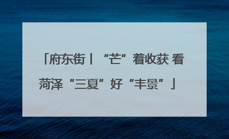 府东街丨“芒”着收获 看菏泽“三夏”好“丰景”