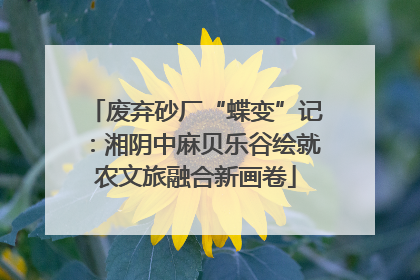 废弃砂厂“蝶变”记：湘阴中麻贝乐谷绘就农文旅融合新画卷