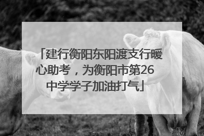 建行衡阳东阳渡支行暖心助考，为衡阳市第26中学学子加油打气