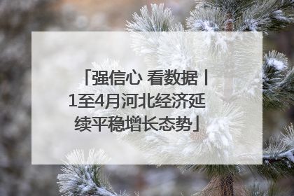 强信心 看数据丨1至4月河北经济延续平稳增长态势
