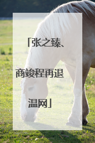 张之臻、商竣程再退温网