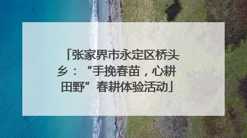 张家界市永定区桥头乡：“手挽春苗，心耕田野”春耕体验活动