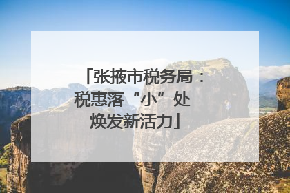 张掖市税务局：税惠落“小”处 焕发新活力