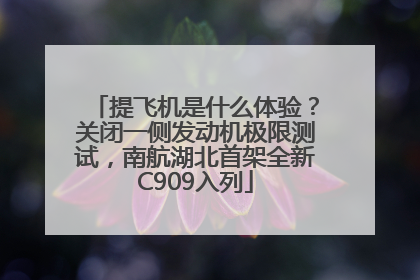 提飞机是什么体验？关闭一侧发动机极限测试，南航湖北首架全新C909入列