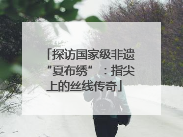 探访国家级非遗“夏布绣”：指尖上的丝线传奇