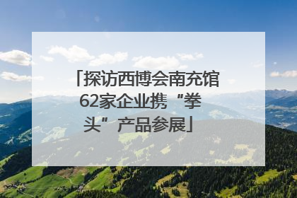 探访西博会南充馆 62家企业携“拳头”产品参展