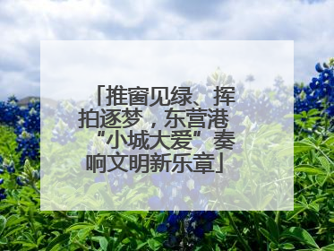 推窗见绿、挥拍逐梦，东营港“小城大爱”奏响文明新乐章