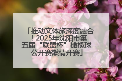 推动文体旅深度融合！2025年沈阳市第五届“联盟杯”橄榄球公开赛燃情开赛