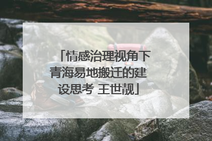 情感治理视角下青海易地搬迁的建设思考 王世靓