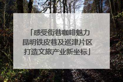 感受街巷咖啡魅力 昆明铁皮巷及巡津片区打造文旅产业新坐标