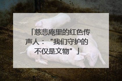 慈悲庵里的红色传声人：“我们守护的不仅是文物”