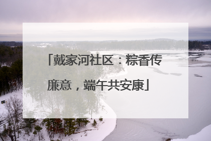 戴家河社区：粽香传廉意，端午共安康