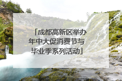 成都高新区举办年中大促消费节与毕业季系列活动