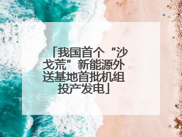我国首个“沙戈荒”新能源外送基地首批机组投产发电