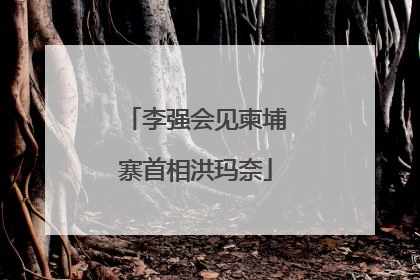 李强会见柬埔寨首相洪玛奈