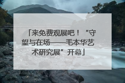 来免费观展吧！“守望与在场——毛本华艺术研究展”开幕