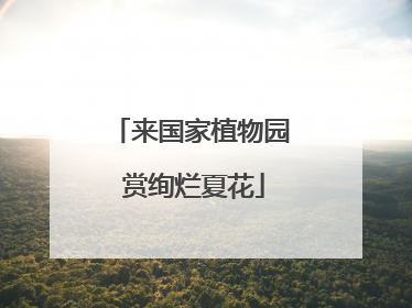来国家植物园 赏绚烂夏花