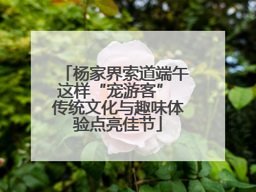 杨家界索道端午这样“宠游客” 传统文化与趣味体验点亮佳节