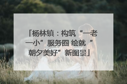 杨林镇：构筑“一老一小”服务圈 绘就“朝夕美好”新图景