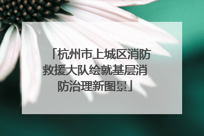 杭州市上城区消防救援大队绘就基层消防治理新图景