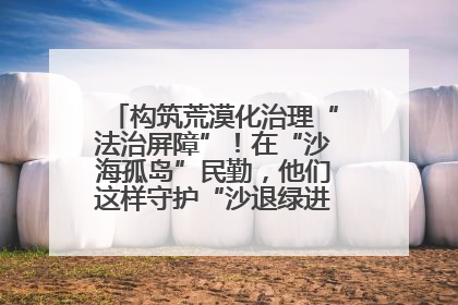 构筑荒漠化治理“法治屏障”！在“沙海孤岛”民勤，他们这样守护“沙退绿进”的生态奇迹