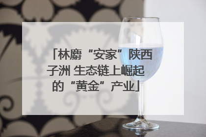 林麝“安家”陕西子洲 生态链上崛起的“黄金”产业