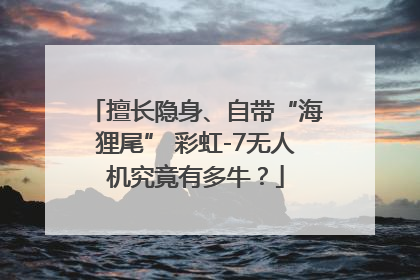 擅长隐身、自带“海狸尾” 彩虹-7无人机究竟有多牛？