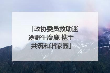 政协委员救助迷途野生麋鹿 携手共筑和谐家园