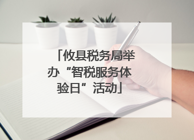攸县税务局举办“智税服务体验日”活动