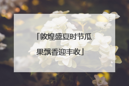 敦煌盛夏时节瓜果飘香迎丰收