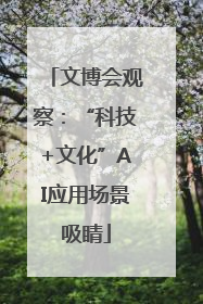 文博会观察：“科技+文化”AI应用场景吸睛