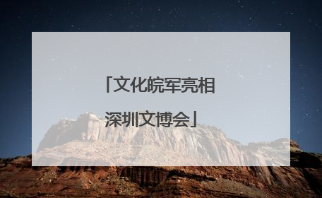 文化皖军亮相深圳文博会