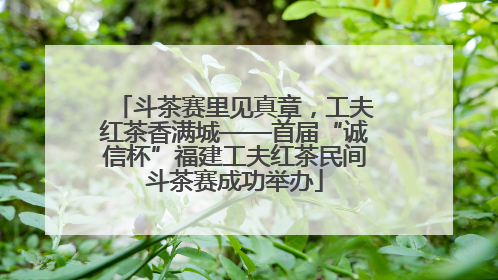 斗茶赛里见真章，工夫红茶香满城——首届“诚信杯”福建工夫红茶民间斗茶赛成功举办