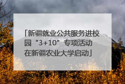 新疆就业公共服务进校园“3+10”专项活动在新疆农业大学启动