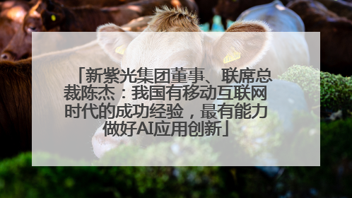 新紫光集团董事、联席总裁陈杰：我国有移动互联网时代的成功经验，最有能力做好AI应用创新