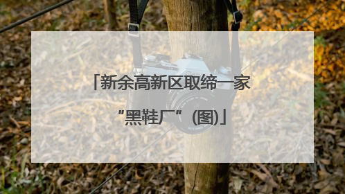 新余高新区取缔一家“黑鞋厂”(图)