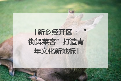 新乡经开区：“街舞莱客”打造青年文化新地标