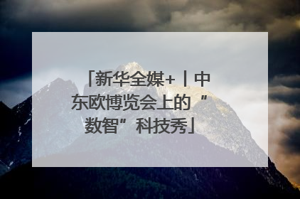 新华全媒+丨中东欧博览会上的“数智”科技秀