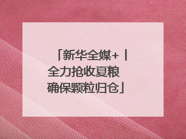 新华全媒+丨全力抢收夏粮 确保颗粒归仓