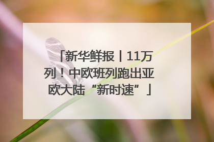 新华鲜报丨11万列！中欧班列跑出亚欧大陆“新时速”